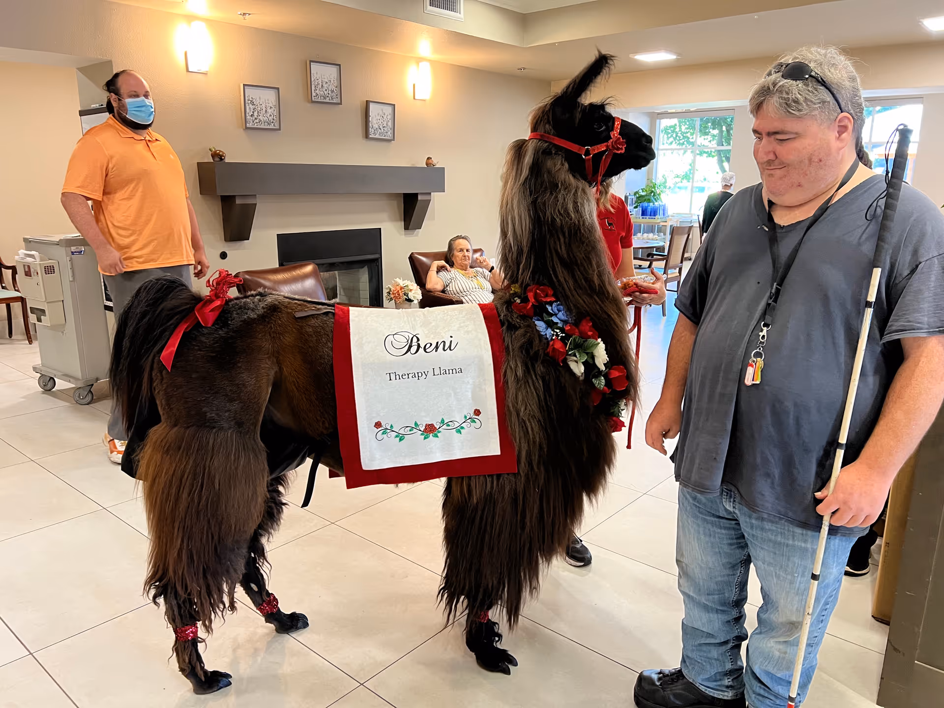 A decorated therapy llama with a 'Beni Therapy Llama' blanket stands in a senior living common room with residents and staff.