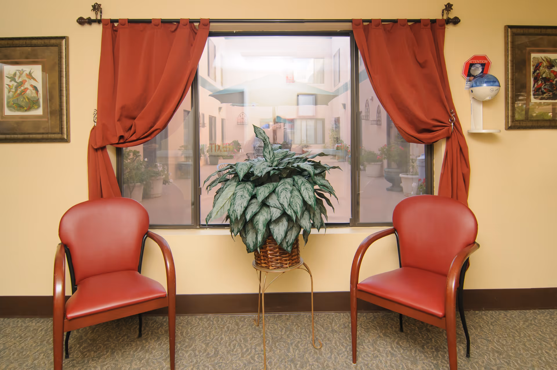 Two red cushioned chairs with wooden armrests are placed on either side of a potted plant with large green leaves in a wicker basket on a metal stand. Behind them is a large window with red curtains tied back, showing a view of an outdoor courtyard with plants and patio furniture. The walls are painted light yellow and decorated with framed artwork and a mounted hand sanitizer dispenser.
