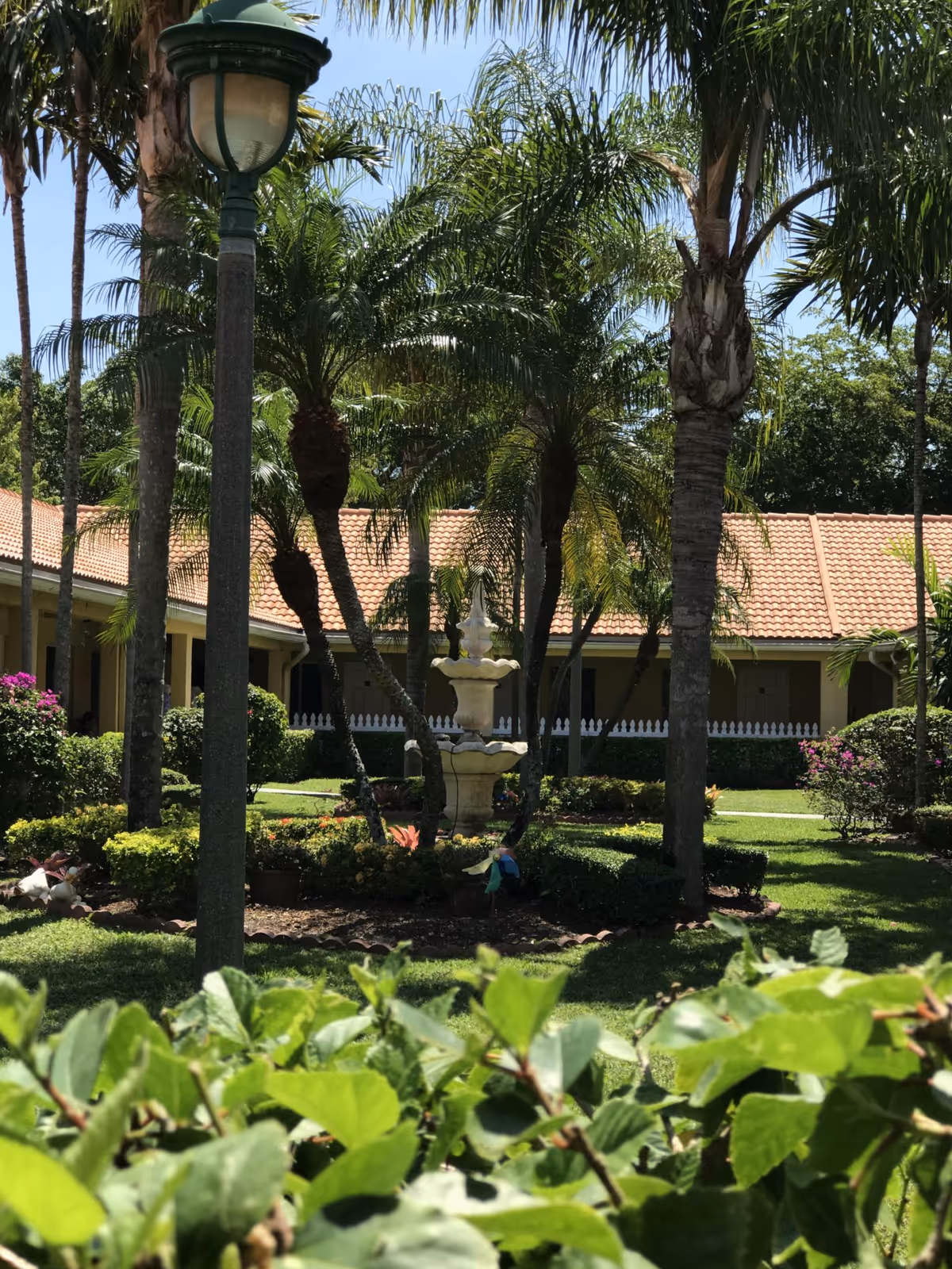 A sunny courtyard garden with a central multi-tiered stone fountain surrounded by palm trees, bushes, and other greenery. A tiled roof building with a covered walkway and white picket fence is visible in the background.
