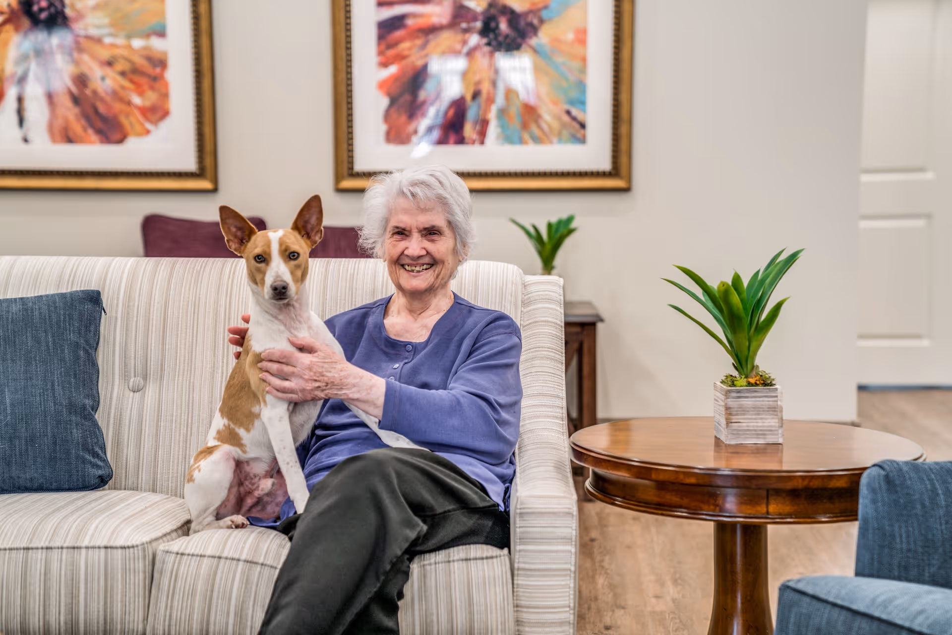 An elderly woman with white hair sitting on a striped sofa, smiling and holding a brown and white dog. There are two colorful abstract paintings on the wall behind her, a wooden side table with a green potted plant, and a blue cushion on the sofa.