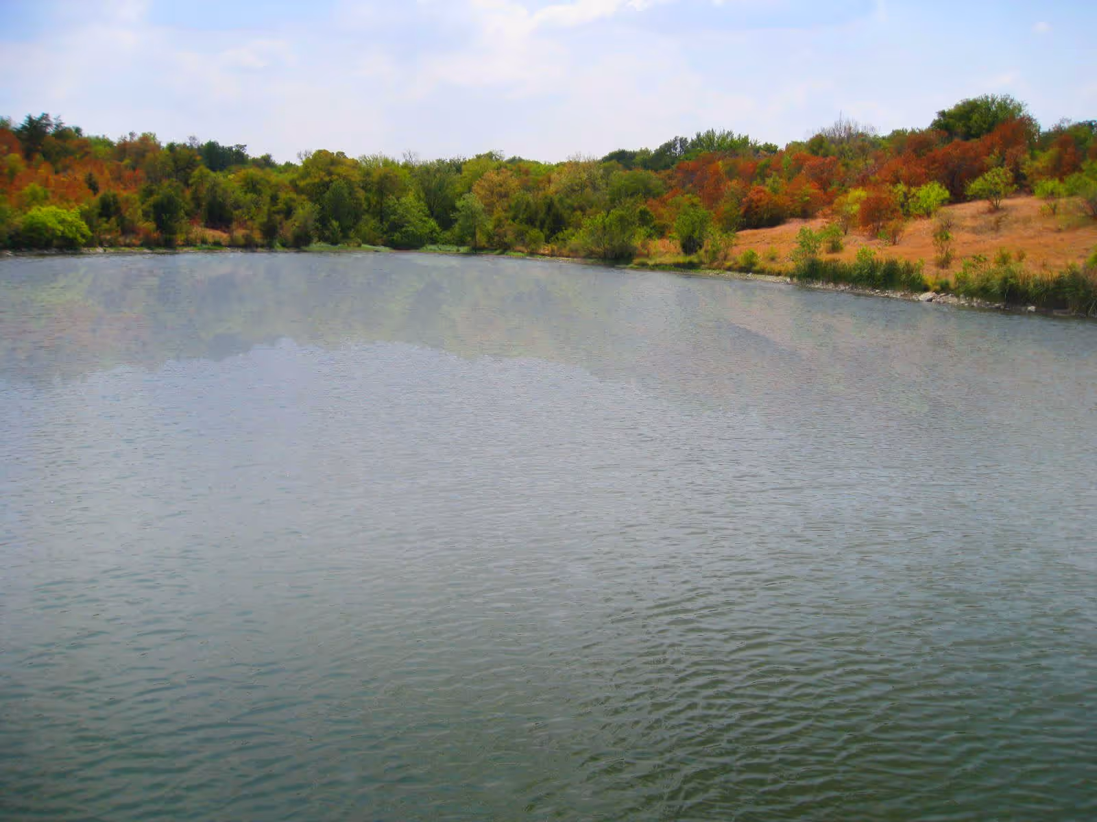 A calm body of water with ripples, bordered by a variety of trees and shrubs showing green and autumnal colors under a partly cloudy sky.