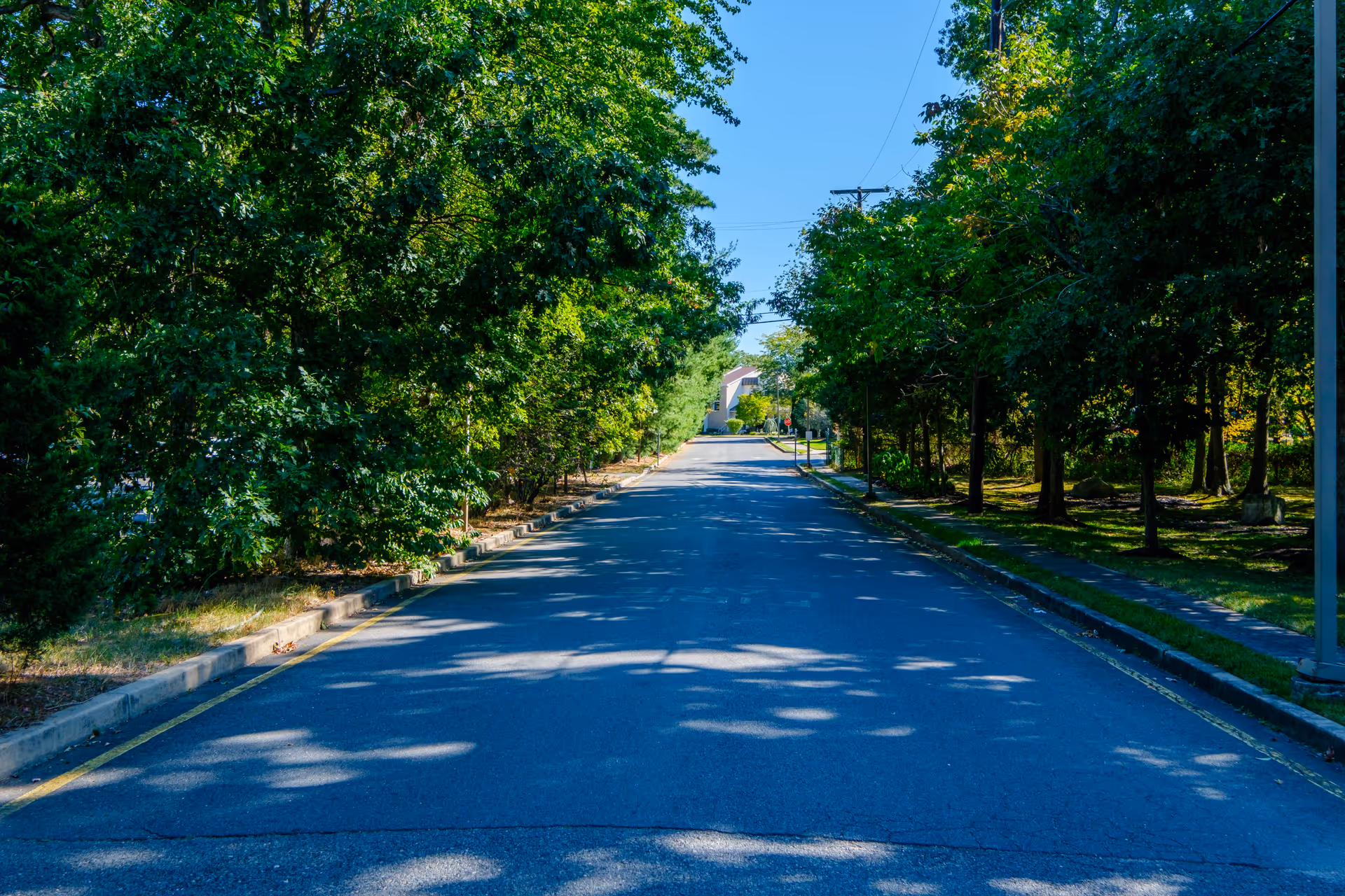 A paved road lined with green trees on both sides under a clear blue sky, leading towards a building in the distance.