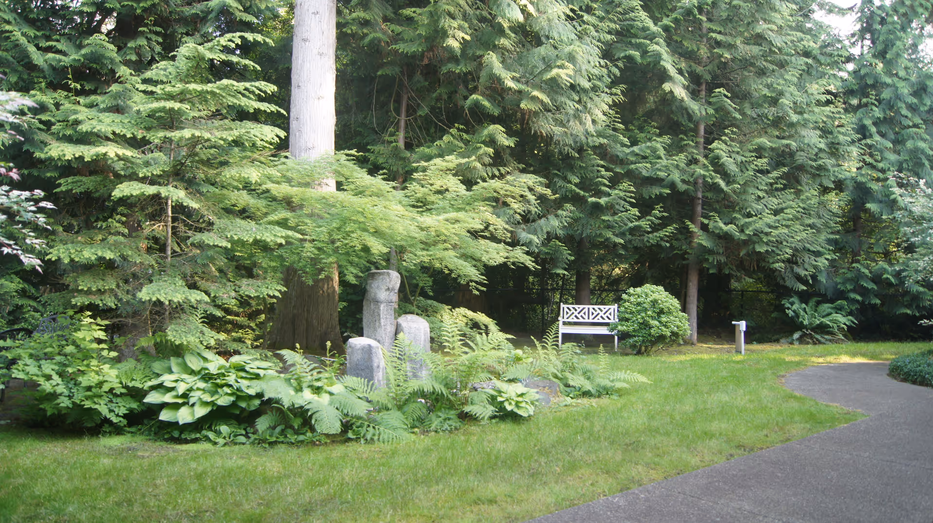 A peaceful outdoor garden area with lush green trees, shrubs, and ferns surrounding a white bench. There is a paved pathway curving through the grass on the right side of the image.