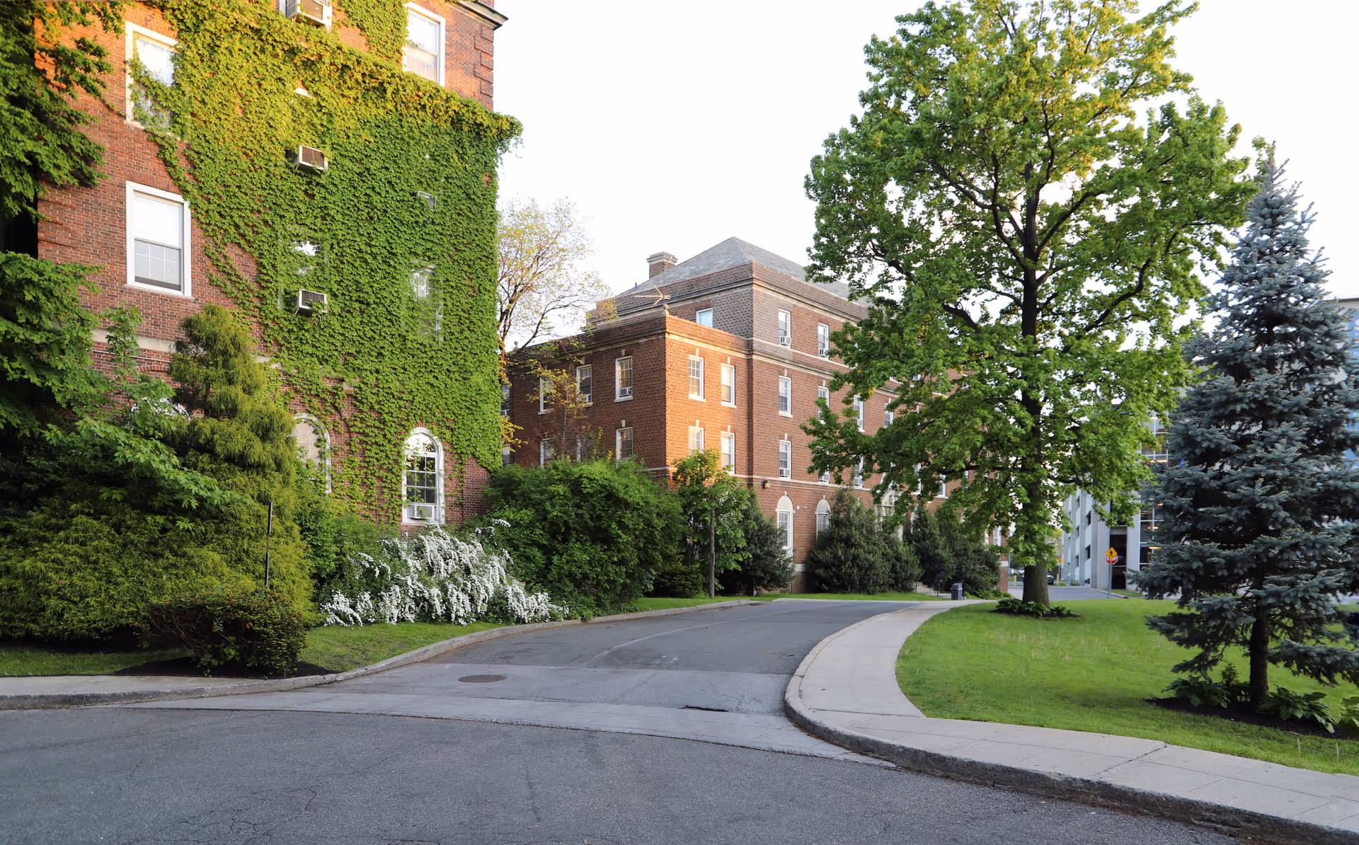 Brick nursing facility building partially covered in ivy with a curved driveway and trees on a green lawn.