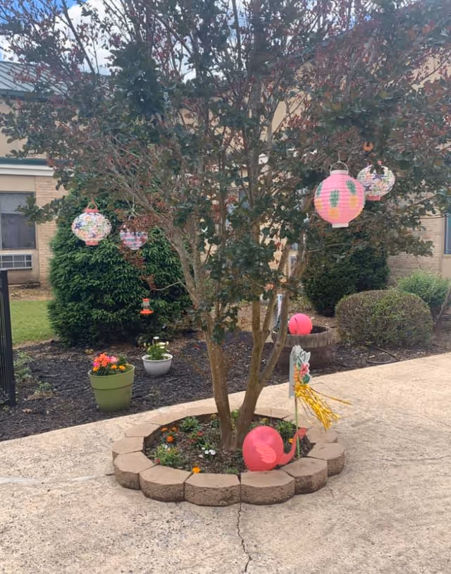 Outdoor garden area with a small tree surrounded by a circular stone border. The tree is decorated with colorful hanging paper lanterns. There are potted plants with flowers nearby, and trimmed bushes and a building are visible in the background.