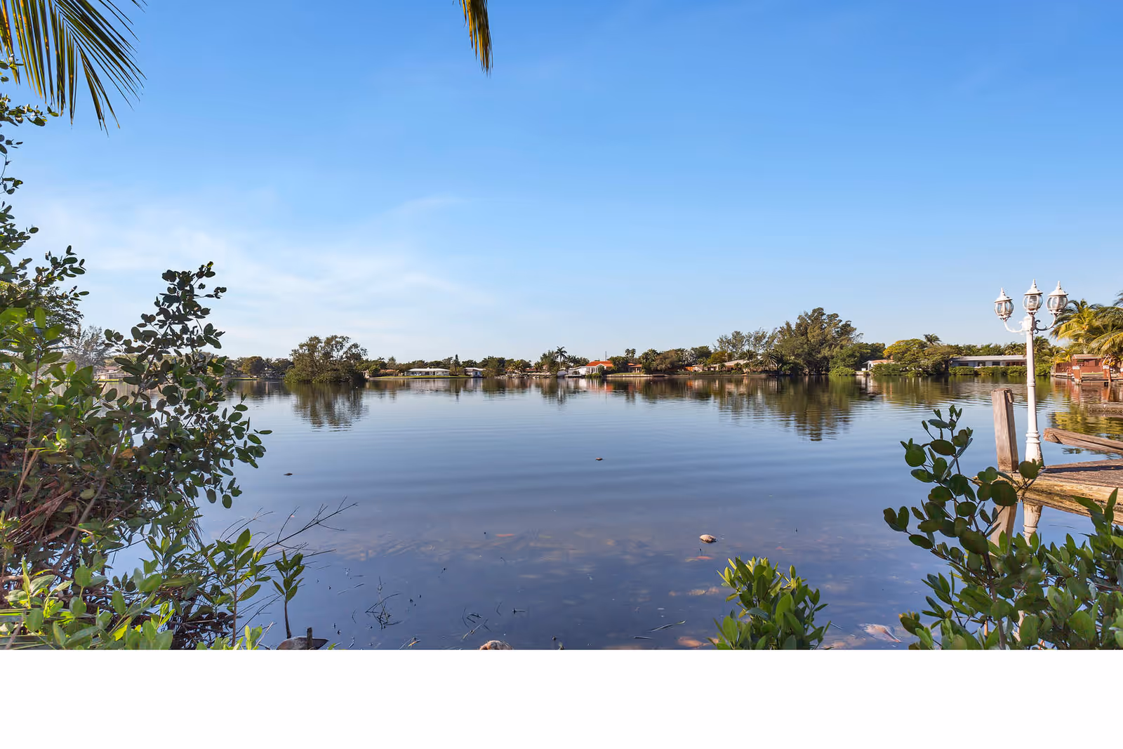 A calm lake surrounded by greenery and residential houses under a clear blue sky, with some plants and a lamp post visible in the foreground.