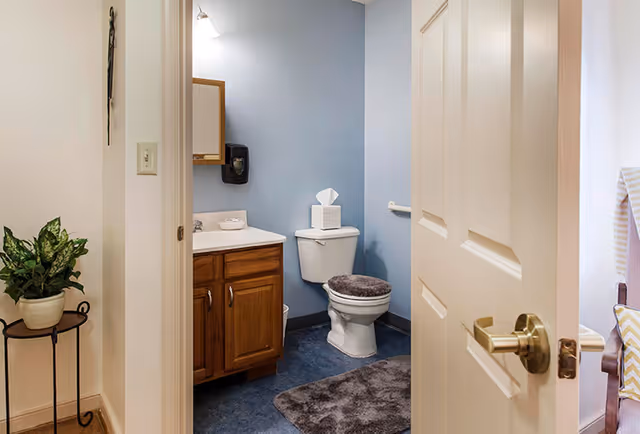 View through an open door into a small bathroom with a toilet, a wooden vanity with a sink, a mirror, and a wall-mounted soap dispenser. The bathroom walls are painted light blue, and there is a gray bath mat and a gray toilet seat cover. A tissue box is placed on top of the toilet tank. Outside the bathroom, a potted plant on a black metal stand is visible.