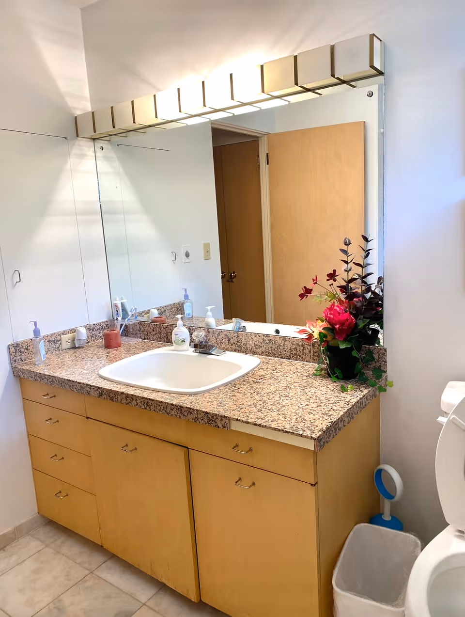 A bathroom vanity with a granite countertop, a white sink, and a large mirror above it. On the countertop are various items including soap dispensers, a red candle, and a potted plant with red and green foliage. Above the mirror is a row of rectangular light fixtures. To the right, part of a toilet and a small trash bin are visible. The walls are white and there is a wooden door reflected in the mirror.