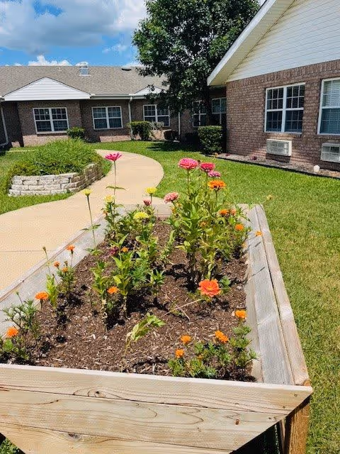 Raised wooden garden bed with blooming pink and orange flowers in front of a brick building with windows and a green lawn under a partly cloudy blue sky.