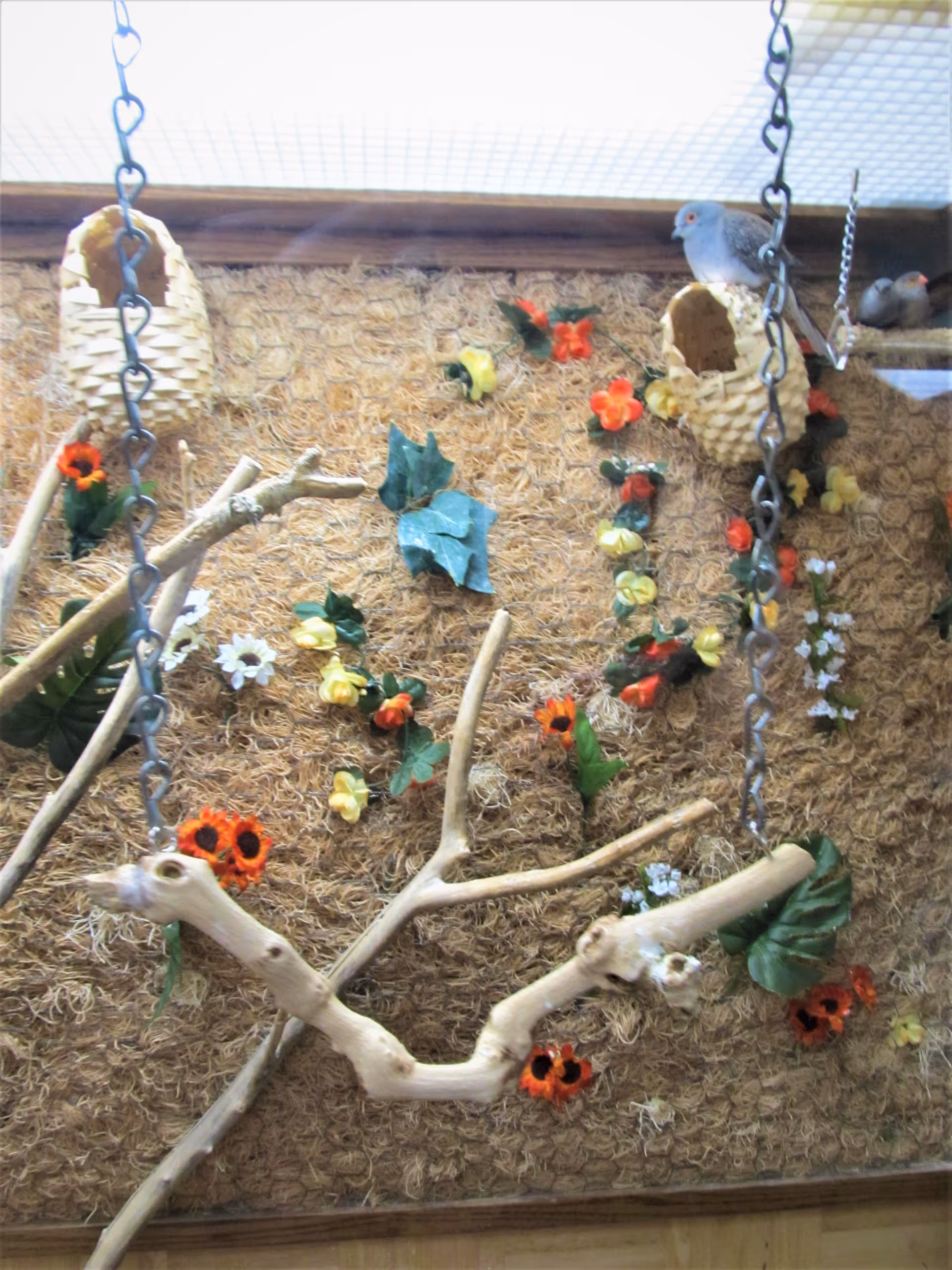 Indoor bird enclosure with a textured natural background decorated with artificial flowers and leaves. There are wooden branches suspended by chains for birds to perch on, and two woven bird nests attached to the back wall. A small blue bird is perched on one of the nests.