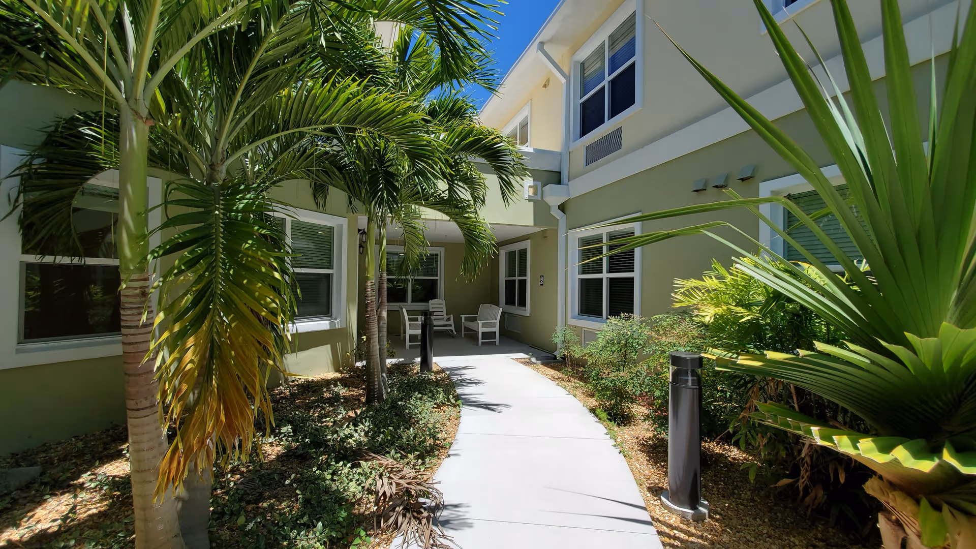 Sunlit courtyard walkway leading to the entrance of a senior living building with palm trees and outdoor seating.