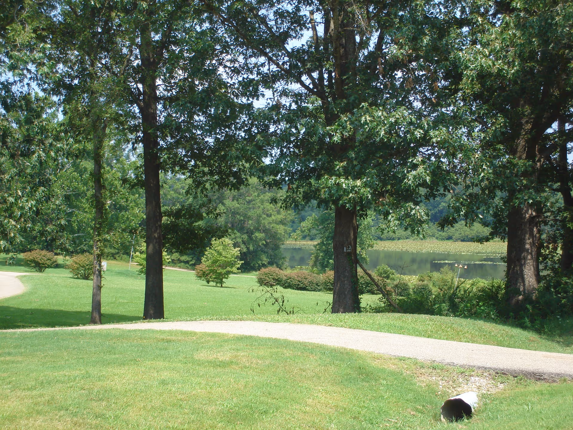 A scenic outdoor area with green grass, several large trees, bushes, and a small body of water in the background under a clear sky.