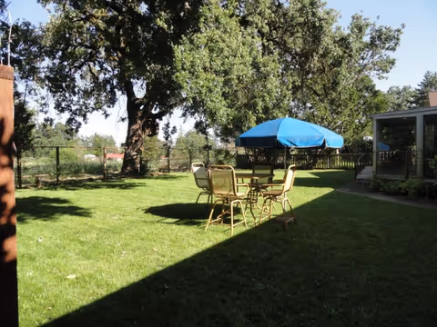 Outdoor lawn with patio table, chairs, and a blue umbrella near a building.