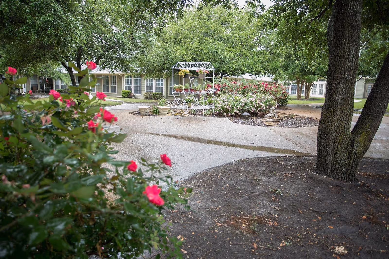 Outdoor garden area at AVIVA Granbury Senior Living featuring a paved pathway, blooming pink and white flowers, green trees, and a decorative white metal plant cart with potted plants. Residential building with multiple windows is visible in the background.