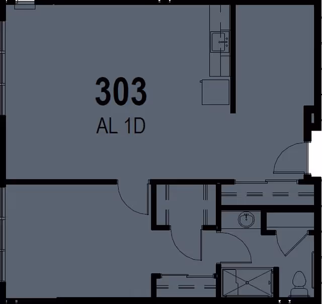Architectural floor plan of unit 303 (AL 1D) showing room layout, bathroom fixtures, doors and kitchenette.