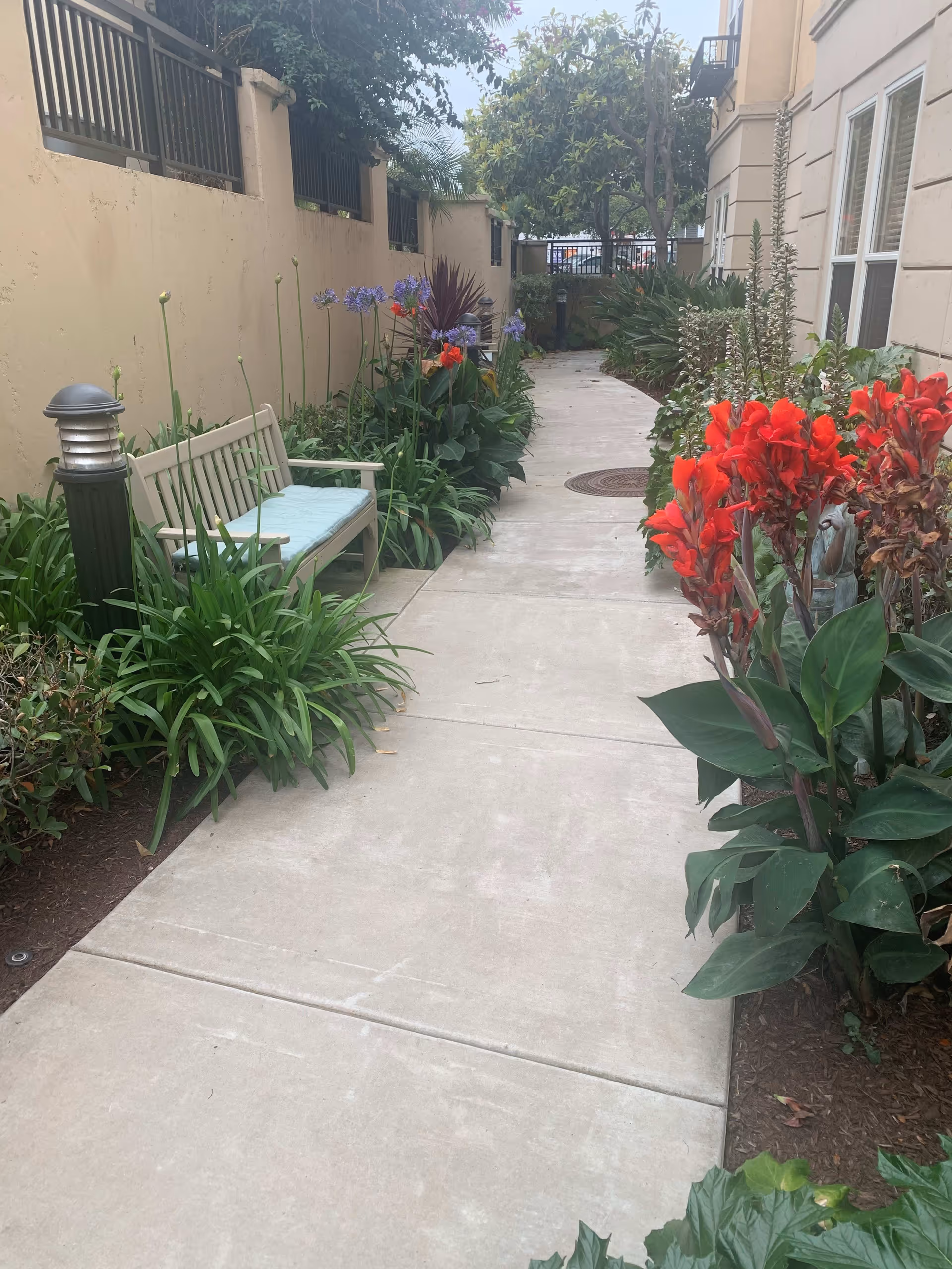 A narrow outdoor walkway bordered by lush green plants and colorful flowers, including red and purple blooms. There is a wooden bench with a light blue cushion on the left side next to a small lamp post. The walkway is adjacent to a beige building wall with windows on the right and a tall beige fence on the left.