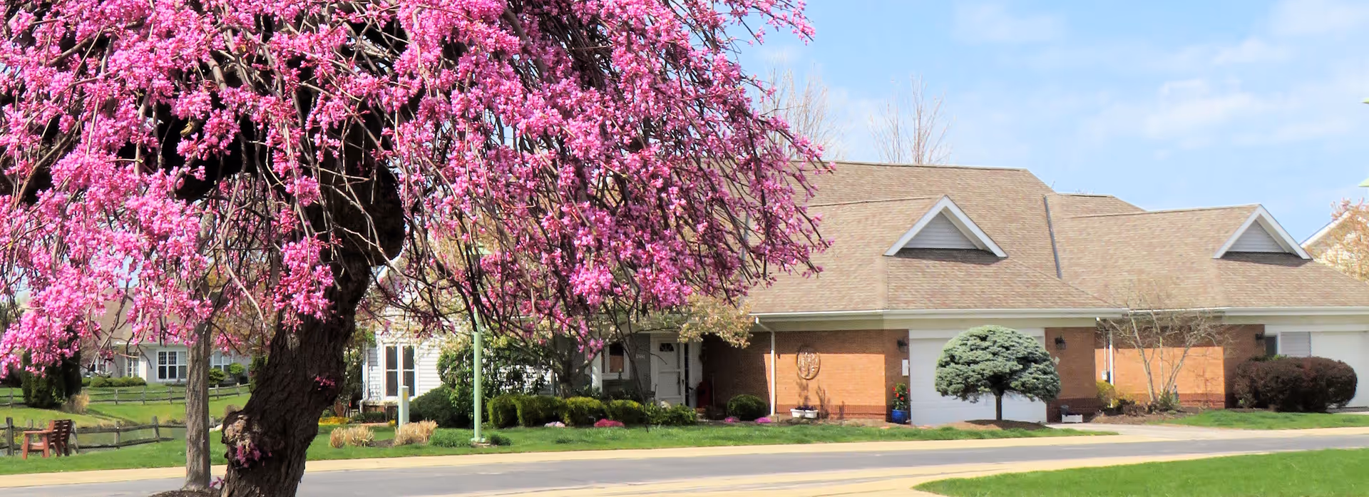 A residential building with a brown roof and brick walls partially obscured by a large tree with vibrant pink blossoms in the foreground. The scene includes a well-maintained lawn, bushes, and a clear blue sky.