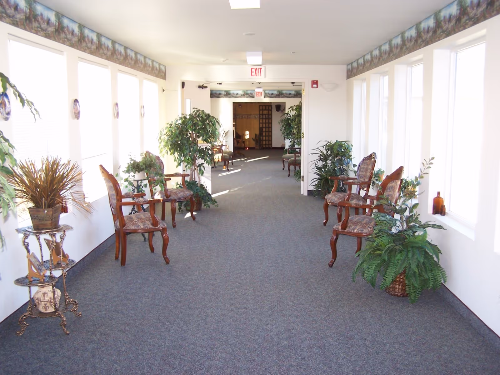 A bright hallway with large windows on both sides letting in natural light. The hallway is carpeted and decorated with several potted plants and vintage-style wooden chairs with patterned cushions arranged along the walls. There is an exit sign above a door at the end of the hallway.