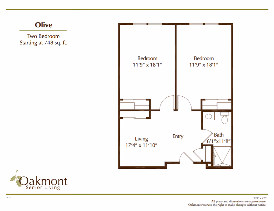 Floor plan for Olive two-bedroom apartment at Oakmont Senior Living, showing two bedrooms each measuring 11'9" x 18'1", a living area measuring 17'4" x 11'10", an entry area, and a bathroom measuring 6'1" x 11'8".