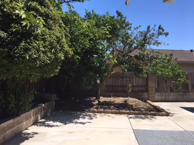 Outdoor area with a concrete driveway and a small garden bed bordered by bricks. There are several trees and bushes providing shade, and a wooden fence and a house roof are visible in the background under a clear blue sky.