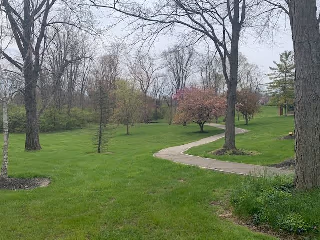 A winding paved pathway through a green grassy area with several trees, some with budding leaves and others still bare, under an overcast sky.