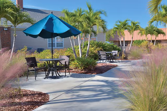 Sunlit outdoor courtyard with a paved walkway, patio tables and chairs under a blue umbrella, palm trees, and landscaping.