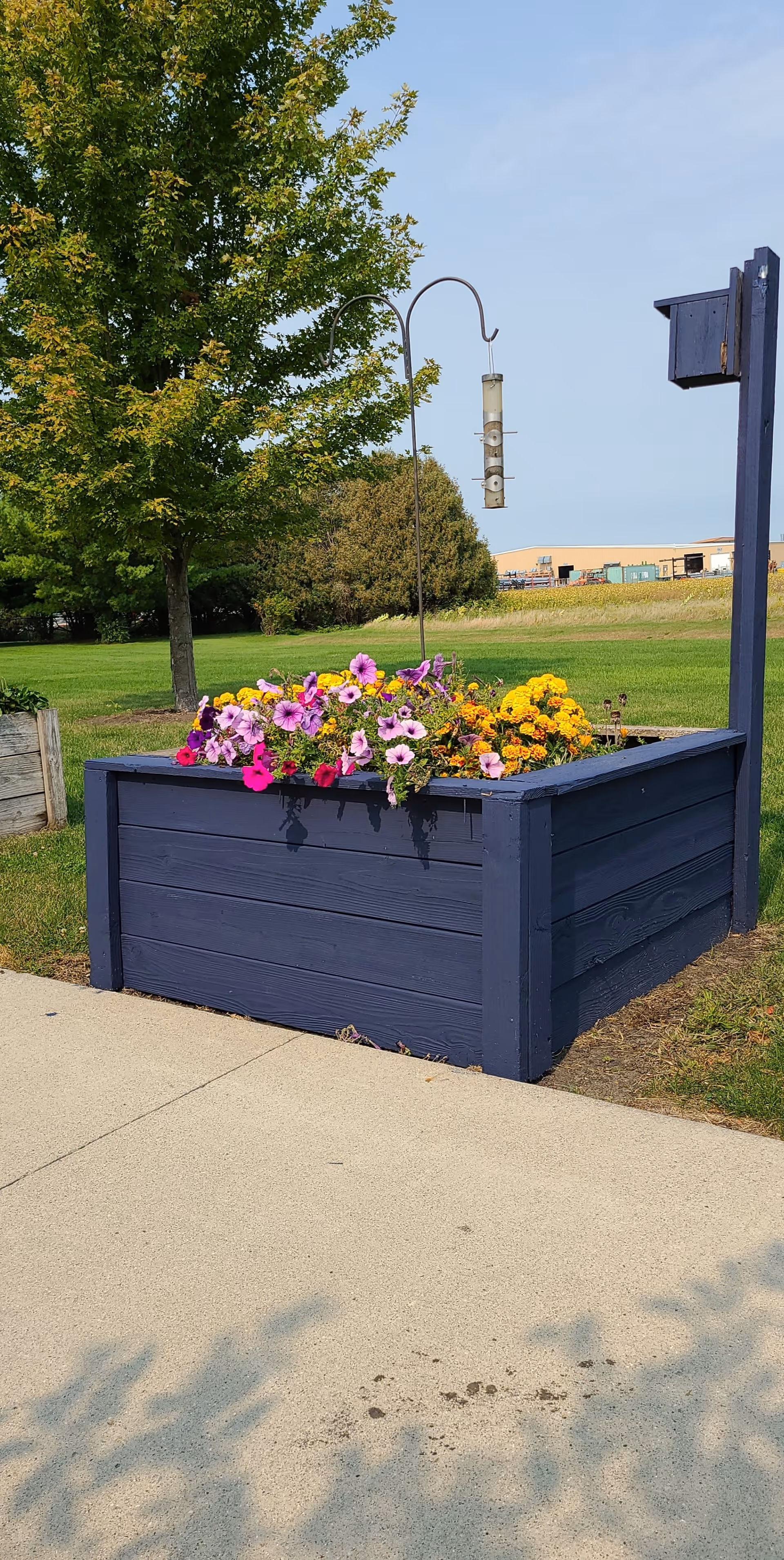 A raised garden bed painted dark blue filled with colorful flowers including pink, purple, and yellow blooms. A bird feeder hangs above the flowers on a metal hook. In the background, there is a green lawn, trees, and a building under a clear blue sky.