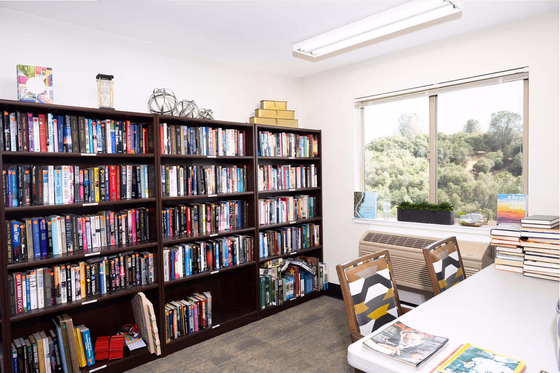 A bright room with large bookshelves filled with books along one wall, a white table with patterned chairs, a window showing green trees outside, and an air conditioning unit below the window. Several books and decorative items are placed on the shelves and table.