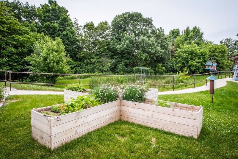 A raised wooden garden bed in an L-shape filled with various green plants and flowers, situated on a grassy lawn with a paved walkway and lush green trees in the background under a cloudy sky.