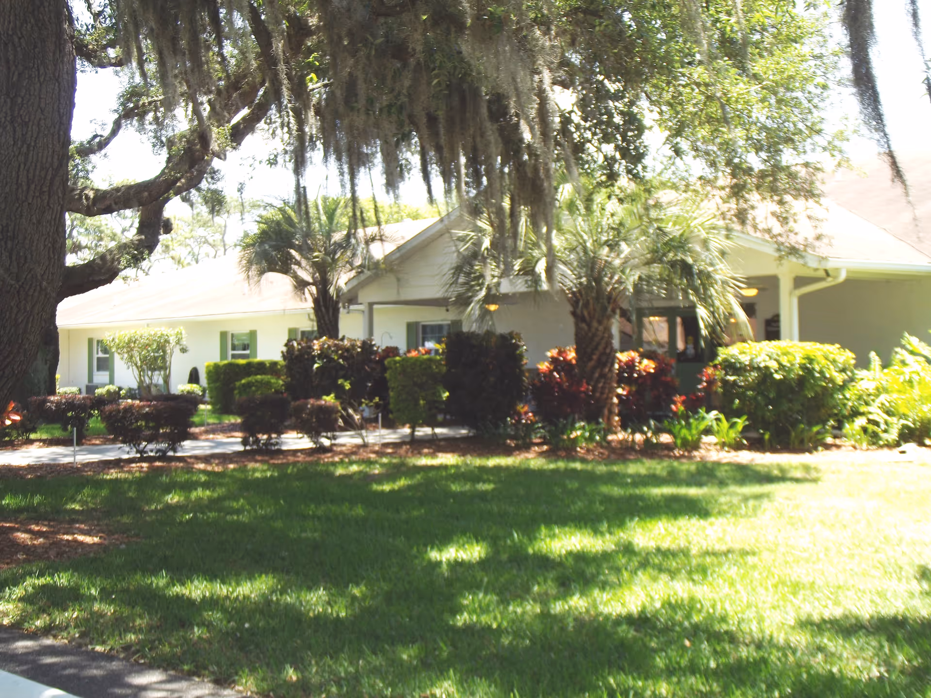 Exterior view of a single-story building surrounded by well-maintained landscaping including palm trees, bushes, and a large tree with hanging moss in the foreground. The building has a light-colored roof and walls with several windows and a covered entrance.