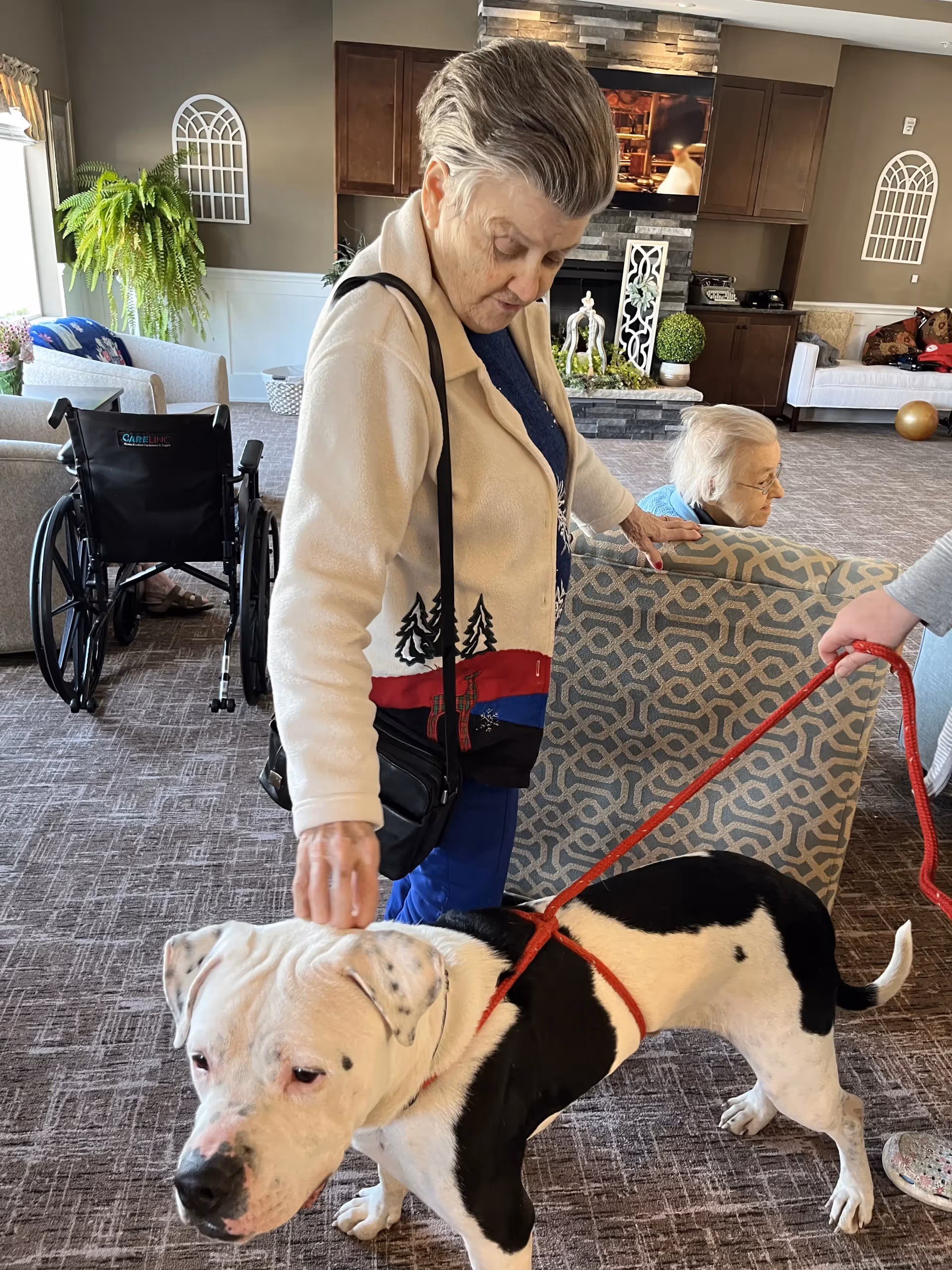 Caregiver walks a leashed dog beside a resident in a senior living lounge.