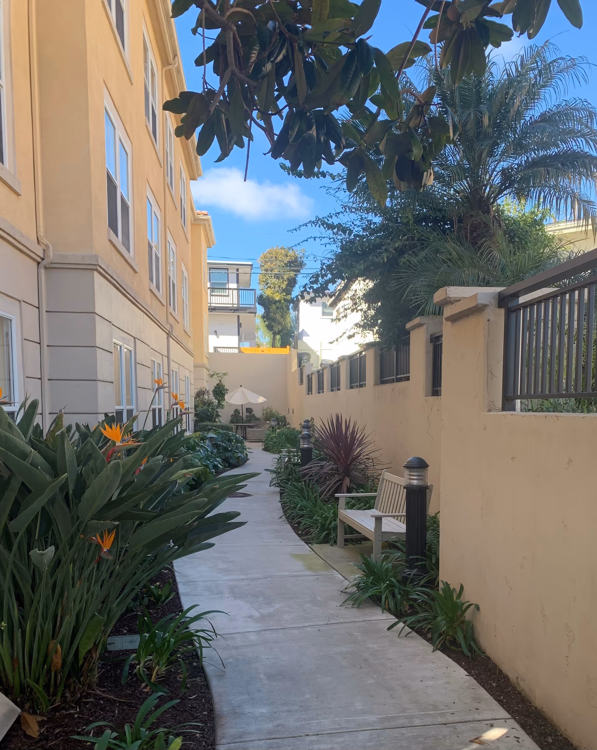 A narrow outdoor walkway alongside a beige building with windows on the left and a tall beige wall with black metal fencing on the right. The path is bordered by lush green plants and flowers, with a wooden bench and small lamp posts along the right side. In the background, there is a white umbrella and more greenery under a clear blue sky.