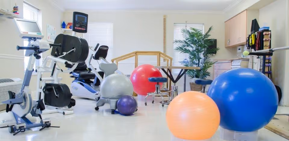 A bright physical therapy or exercise room with various fitness equipment including stationary bikes, large exercise balls in blue, orange, red, silver, and purple, a wooden handrail, stools, a table, and a potted plant near the windows.