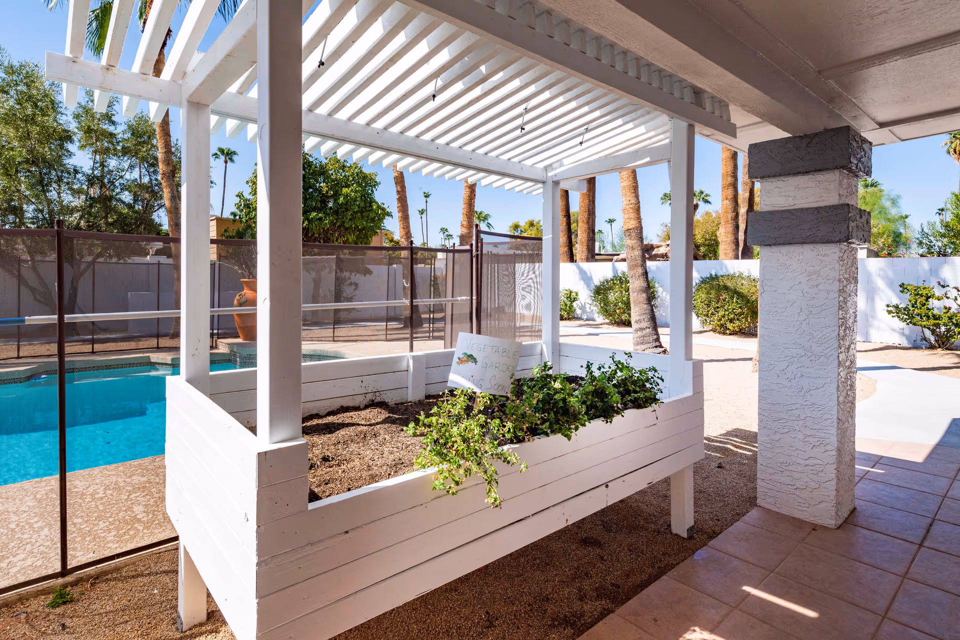 Outdoor area with a white wooden raised garden bed under a pergola, containing some green plants and a small sign. In the background, there is a swimming pool surrounded by a safety fence, palm trees, bushes, and a white wall under a clear blue sky.