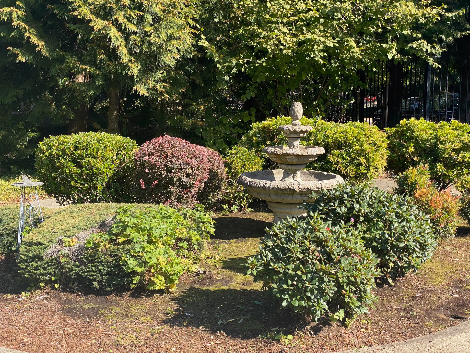 A landscaped garden area with various green and reddish bushes surrounding a tiered stone fountain. There is a small metal stand on the left side and tall trees in the background.