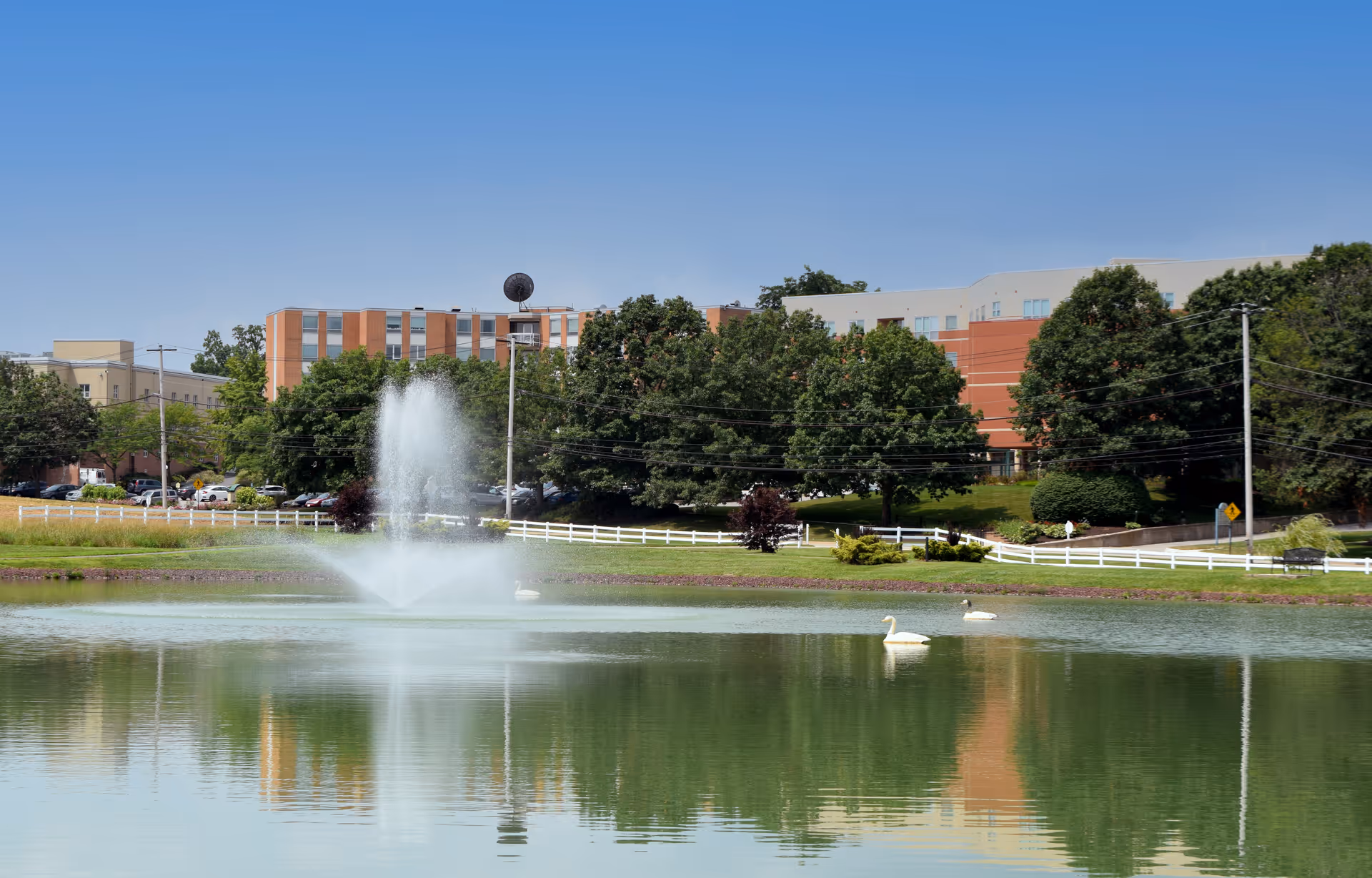 A serene outdoor scene at Quarryville Presbyterian Retirement Community featuring a large pond with a water fountain in the center and two swans swimming. Behind the pond, there is a white fence, green trees, and a multi-story building under a clear blue sky.
