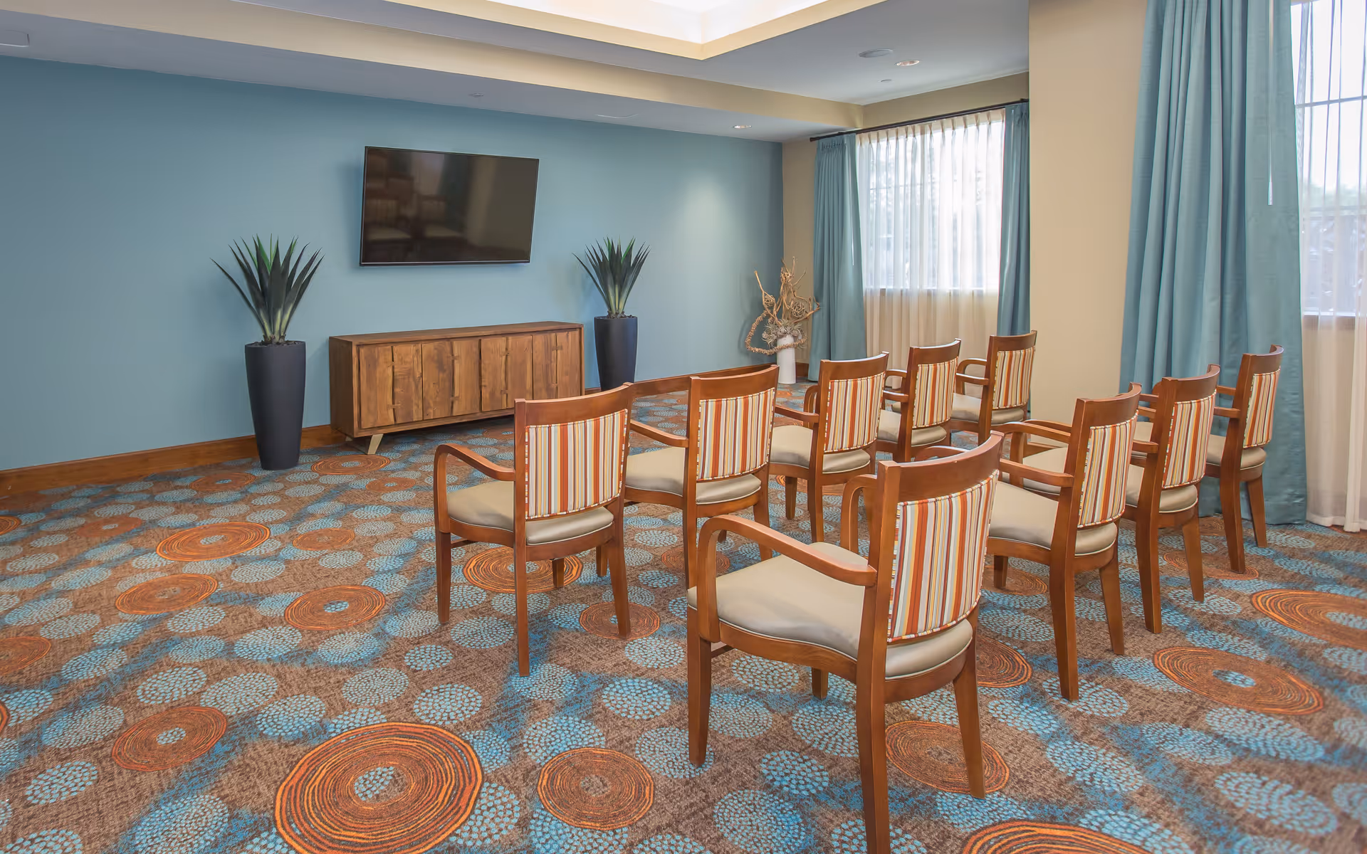 A small meeting or presentation room with two rows of wooden chairs with striped cushions facing a wall-mounted flat screen TV. The room has a patterned carpet with blue and orange circular designs, light blue walls, two tall potted plants flanking a wooden cabinet beneath the TV, and windows with sheer and blue curtains allowing natural light.