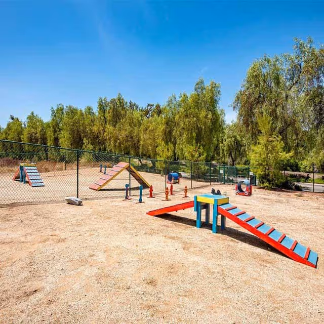 Outdoor fenced area with various colorful agility and play equipment for dogs, including ramps, tunnels, and poles, set on a dirt ground with trees in the background under a clear blue sky.