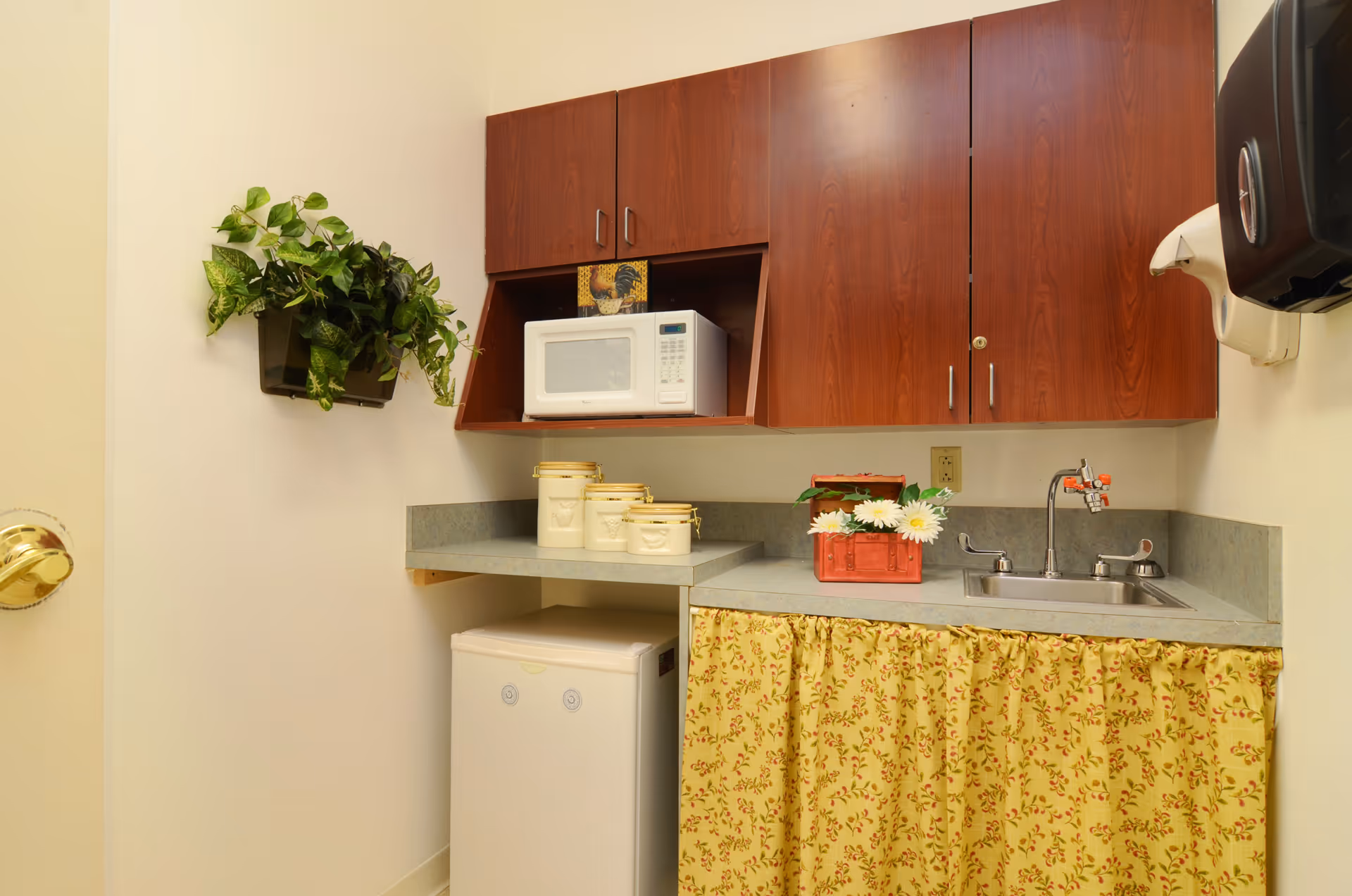 Small kitchenette area with wooden cabinets, a white microwave, a mini refrigerator, a small sink with a faucet, decorative canisters on the counter, a red container with white flowers, and a green leafy plant mounted on the wall.