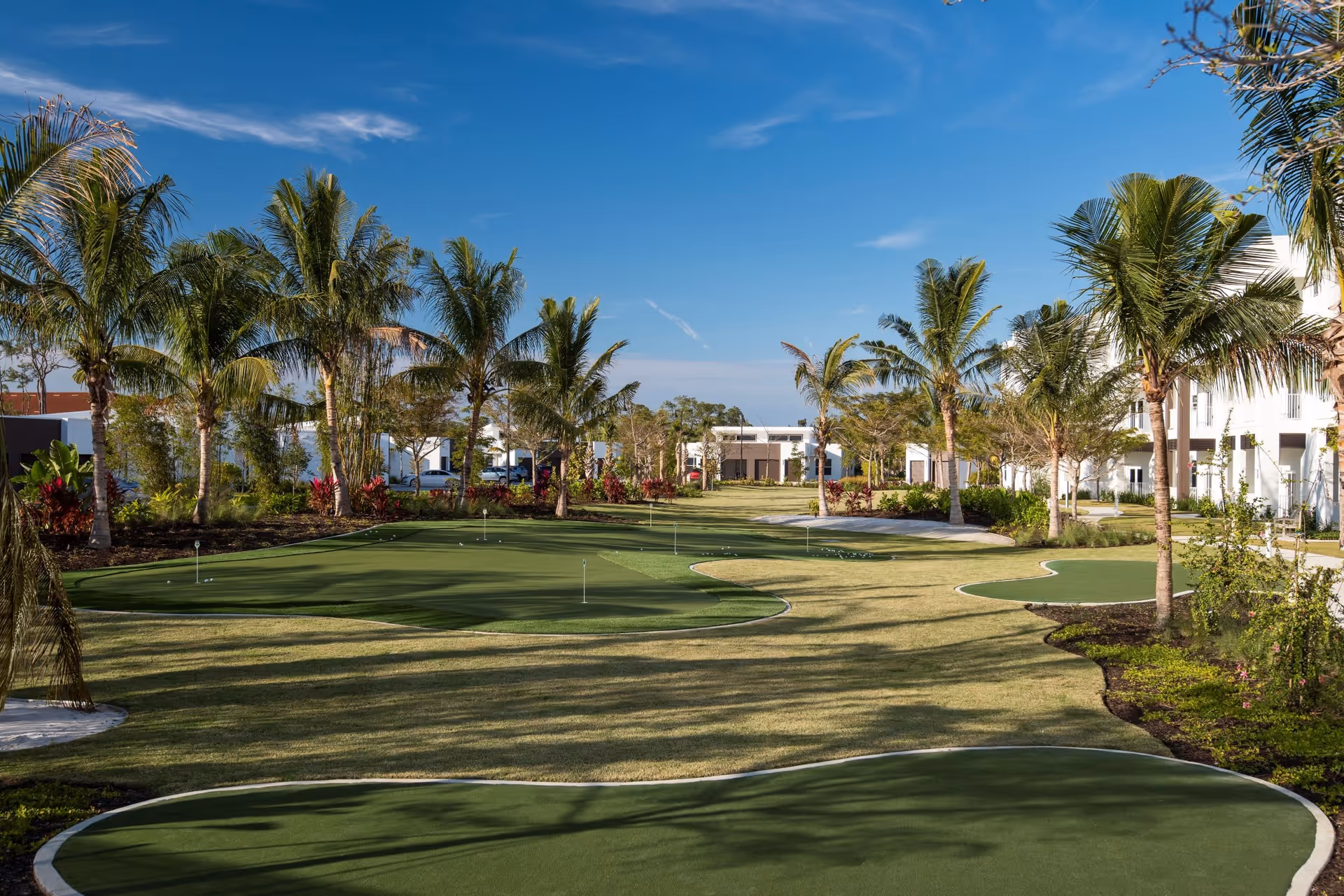 Outdoor view of a putting green surrounded by palm trees and landscaped gardens under a clear blue sky at Amavida at Lakes Park.