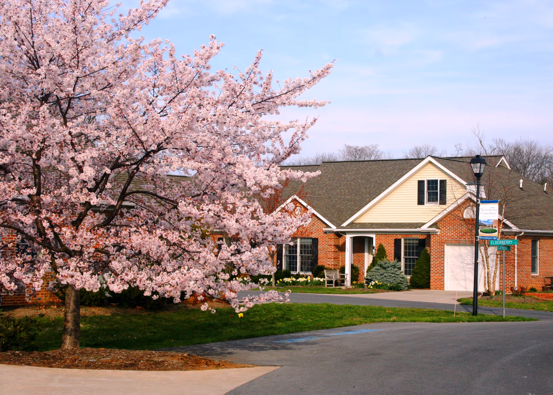 Brick community building front with a large pink-blossomed tree and a streetlamp in the foreground.