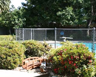 Outdoor pool area surrounded by a chain-link fence, with landscaped bushes and a small wooden bridge.