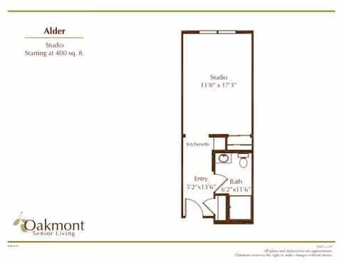 Floor plan of a studio apartment named Alder at Oakmont Senior Living, showing a studio area measuring 11 feet 8 inches by 17 feet 3 inches, a kitchenette, an entry area measuring 5 feet 2 inches by 13 feet 6 inches, and a bathroom measuring 6 feet 2 inches by 11 feet 6 inches. The plan indicates the studio starts at 400 square feet.