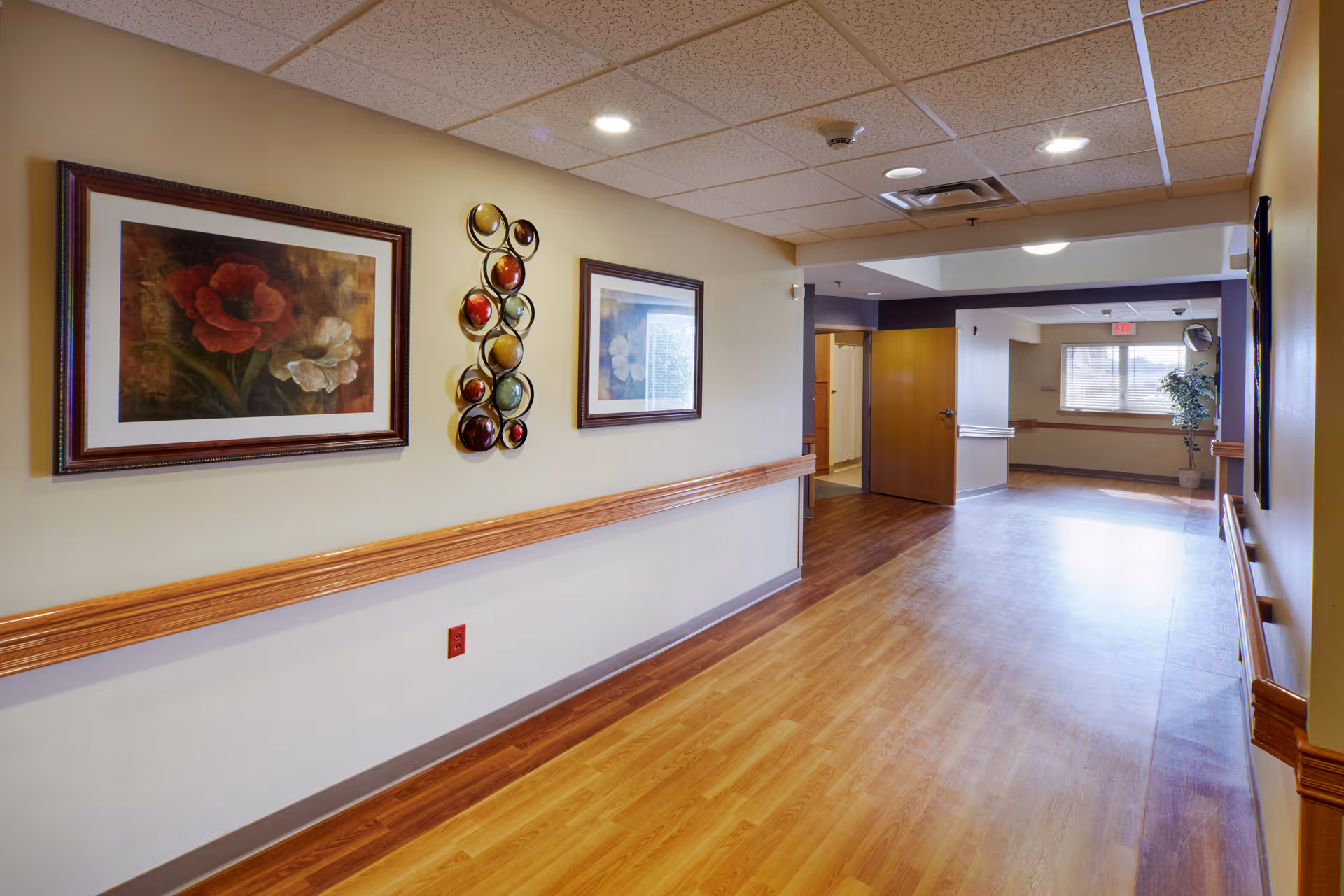 A well-lit hallway in a senior living facility with wooden flooring and handrails on both sides. The walls are decorated with framed floral artwork and a decorative wall piece with colorful circular elements. At the end of the hallway, there is an open door leading to another room with a window and a potted plant.