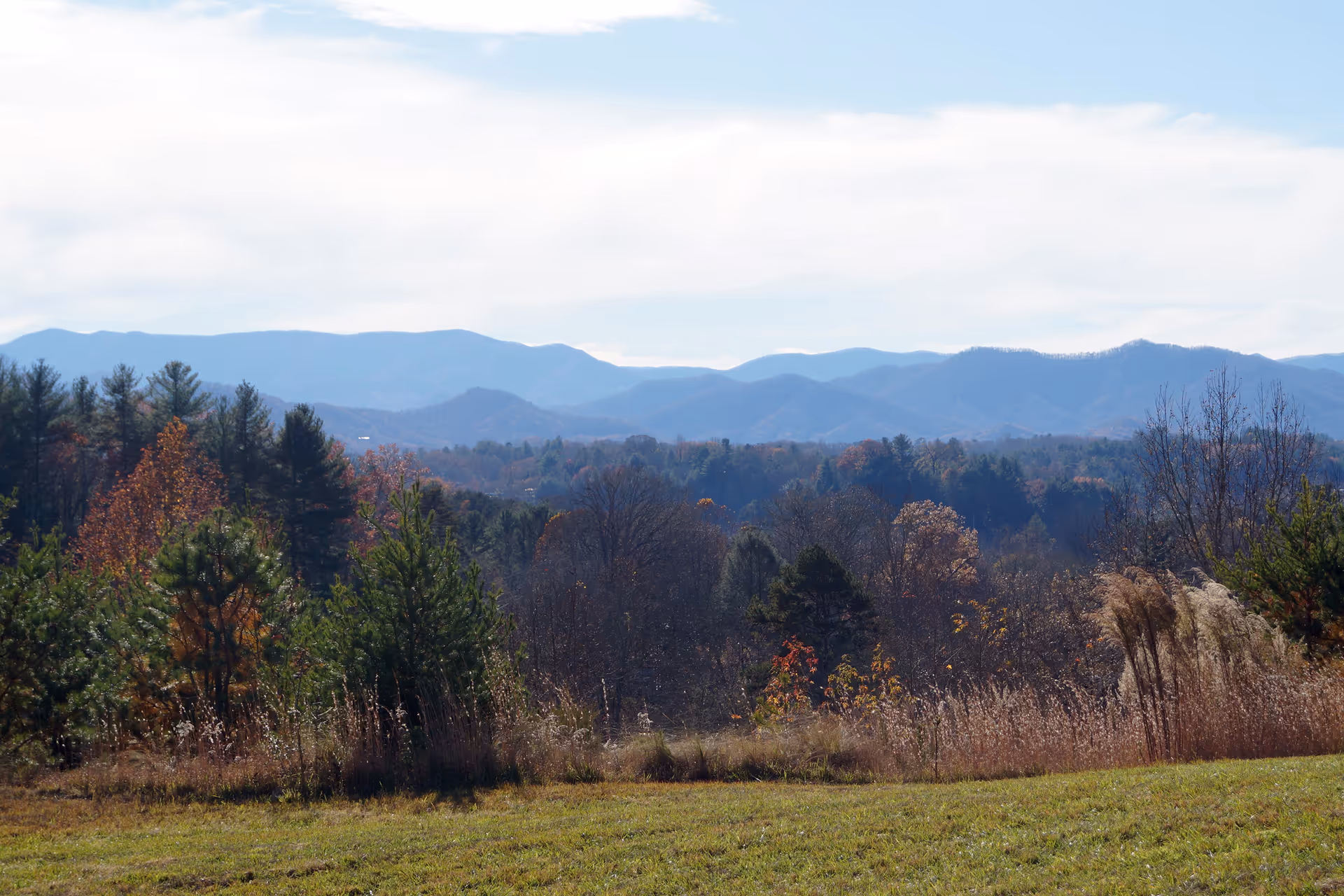 A scenic outdoor view of a grassy field with various trees in autumn colors and a backdrop of blue mountain ranges under a partly cloudy sky.