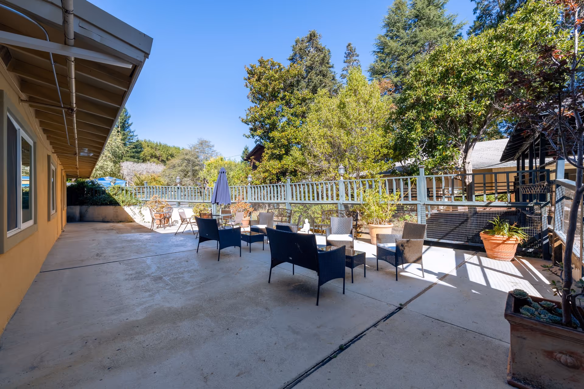 Outdoor patio area at Marin Terrace Assisted Living with several chairs and tables arranged on a concrete surface, surrounded by potted plants and trees under a clear blue sky.