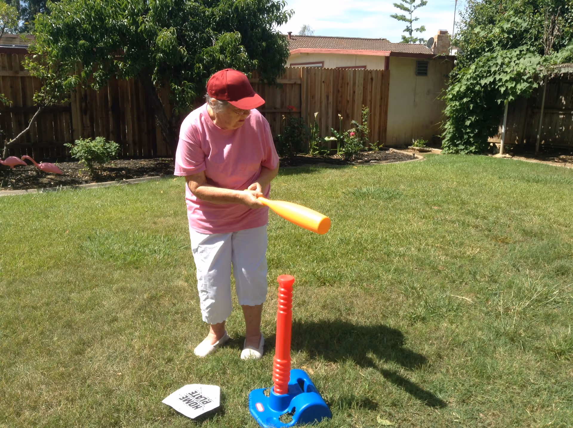 An elderly woman wearing a red cap, pink shirt, white pants, and white shoes is playing tee ball in a grassy backyard. She is holding an orange plastic bat and preparing to hit a ball placed on a blue tee. There is a wooden fence, some plants, and a small shed in the background under a clear sky.