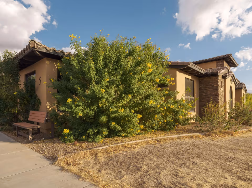 Exterior view of a single-story building with a tiled roof and stone accents, partially obscured by a large green bush with yellow flowers. A wooden bench is placed near the building entrance, and the ground is covered with dry grass and gravel. The sky is blue with some clouds.