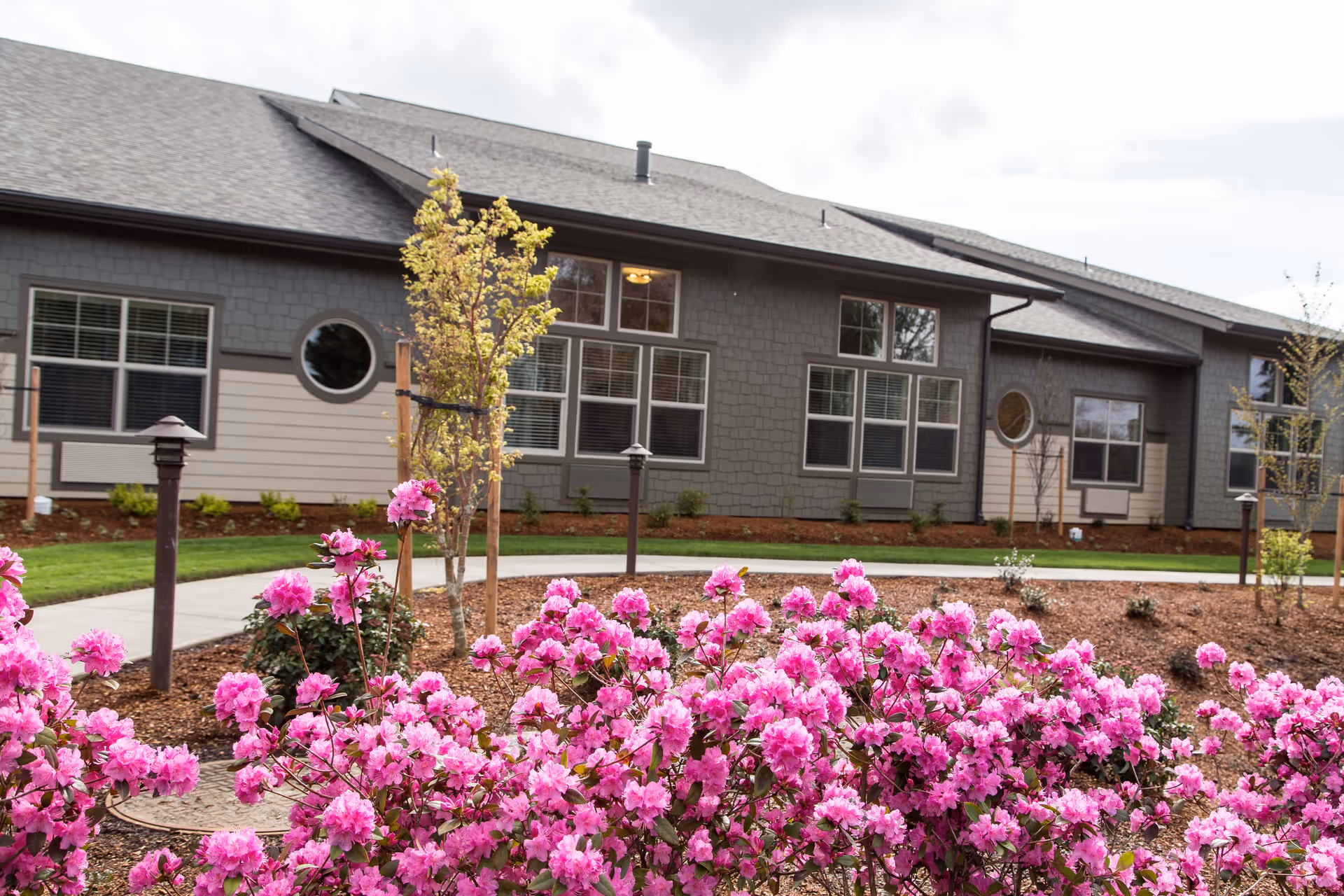Exterior view of a single-story building with gray and beige siding, multiple windows, and a landscaped garden in the foreground featuring vibrant pink flowers and young trees.
