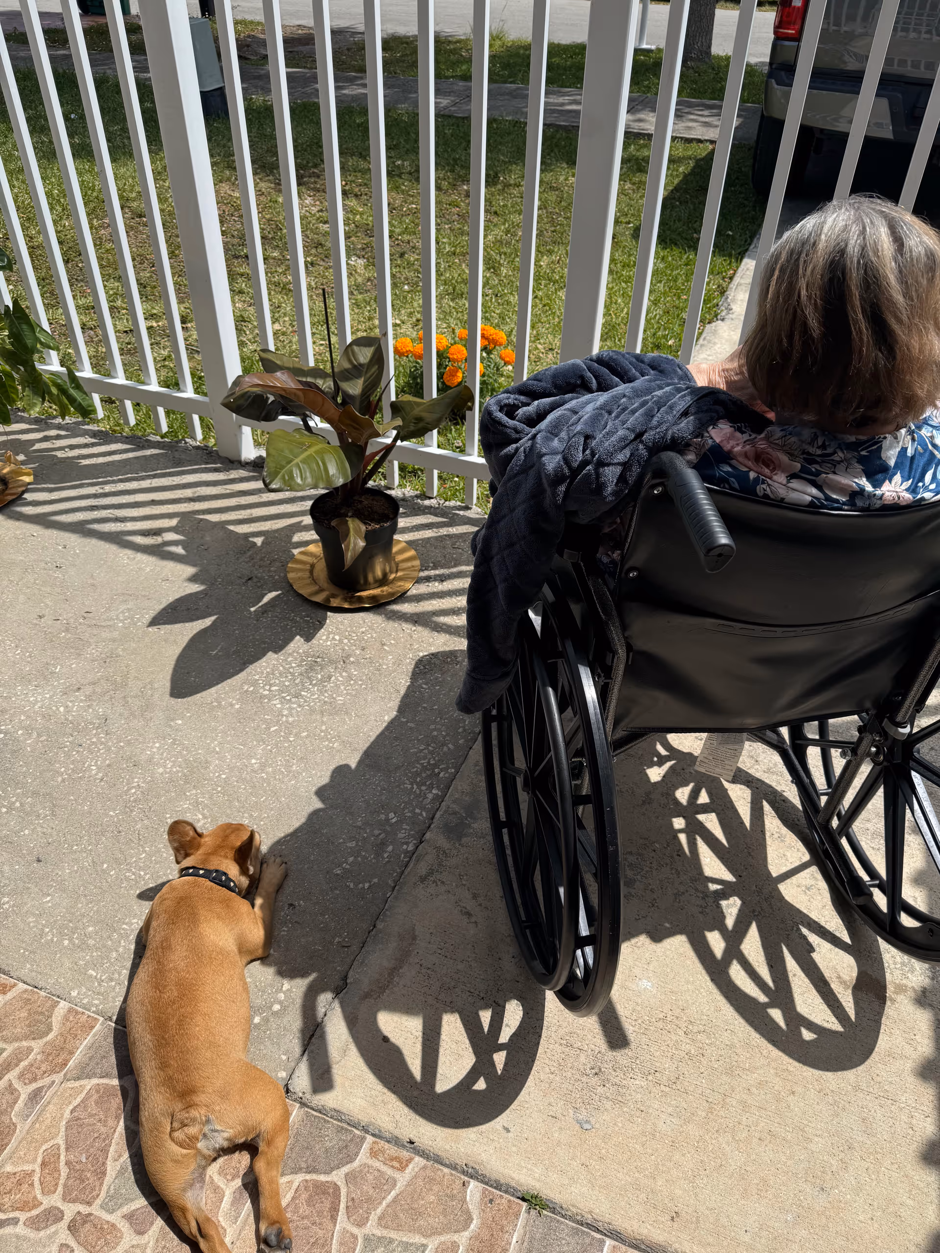 An elderly person in a wheelchair sits on a sunny patio by a white fence with potted plants while a small brown dog lies nearby.